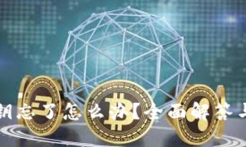 TP钱包密钥忘了怎么办？全面解答与解决方案
