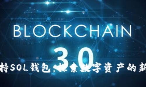 TP支持SOL钱包：探索数字资产的新领域