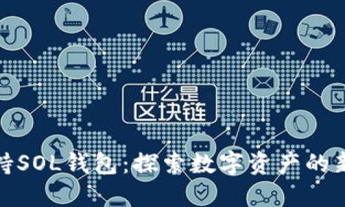 TP支持SOL钱包：探索数字资产的新领域