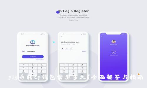  pig币转tp钱包需要多久？全面解答与指南