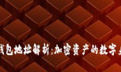 TP钱包地址解析：加密资产