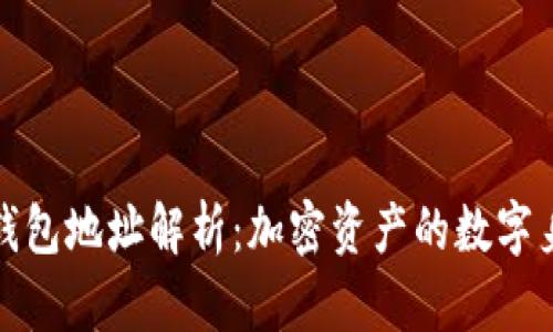 TP钱包地址解析：加密资产的数字身份