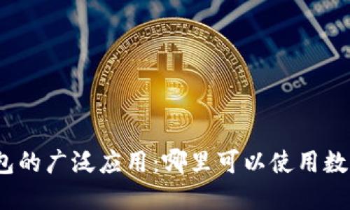 数字钱包的广泛应用：哪里可以使用数字钱包？