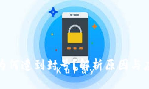 TP钱包为何遭到封号？解析原因与应对策略