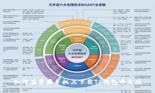 如何在苹果手机上下载TP钱包中文版