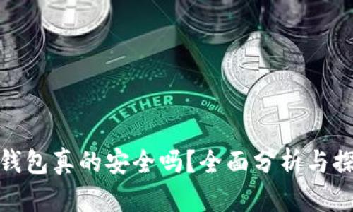TP钱包真的安全吗？全面分析与探讨