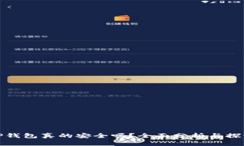 TP钱包真的安全吗？全面分析与探讨