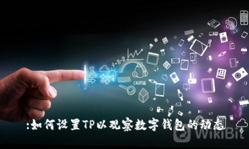 :如何设置TP以观察数字钱包的动态