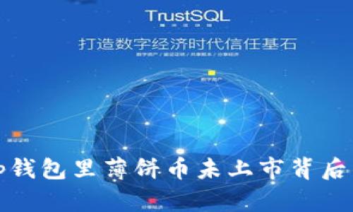 探讨Tp钱包里薄饼币未上市背后的原因