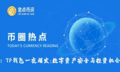 : TP钱包一夜爆发：数字资产安全与投资机会