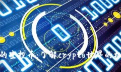 TP钱包里的空投币：了解