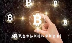 在TP钱包中如何进入薄饼交