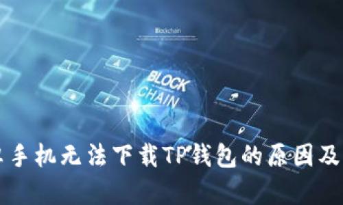 中国安卓手机无法下载TP钱包的原因及解决方案