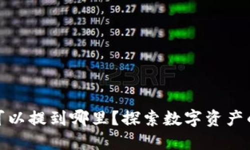 TP钱包的币可以提到哪里？探索数字资产的流动与选择