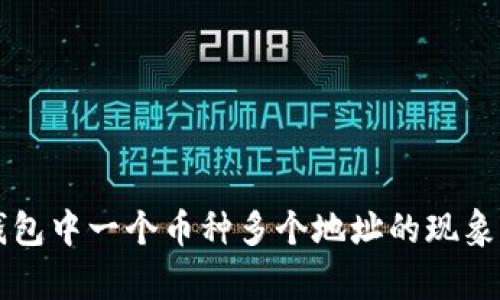 解析TP钱包中一个币种多个地址的现象及其原因