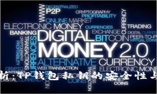 : 深度解析：TP钱包私钥的安全性与使用方法