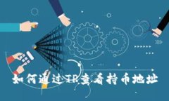 如何通过TP查看持币地址