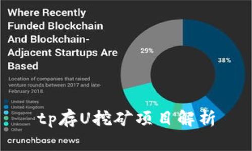 tp存U挖矿项目解析